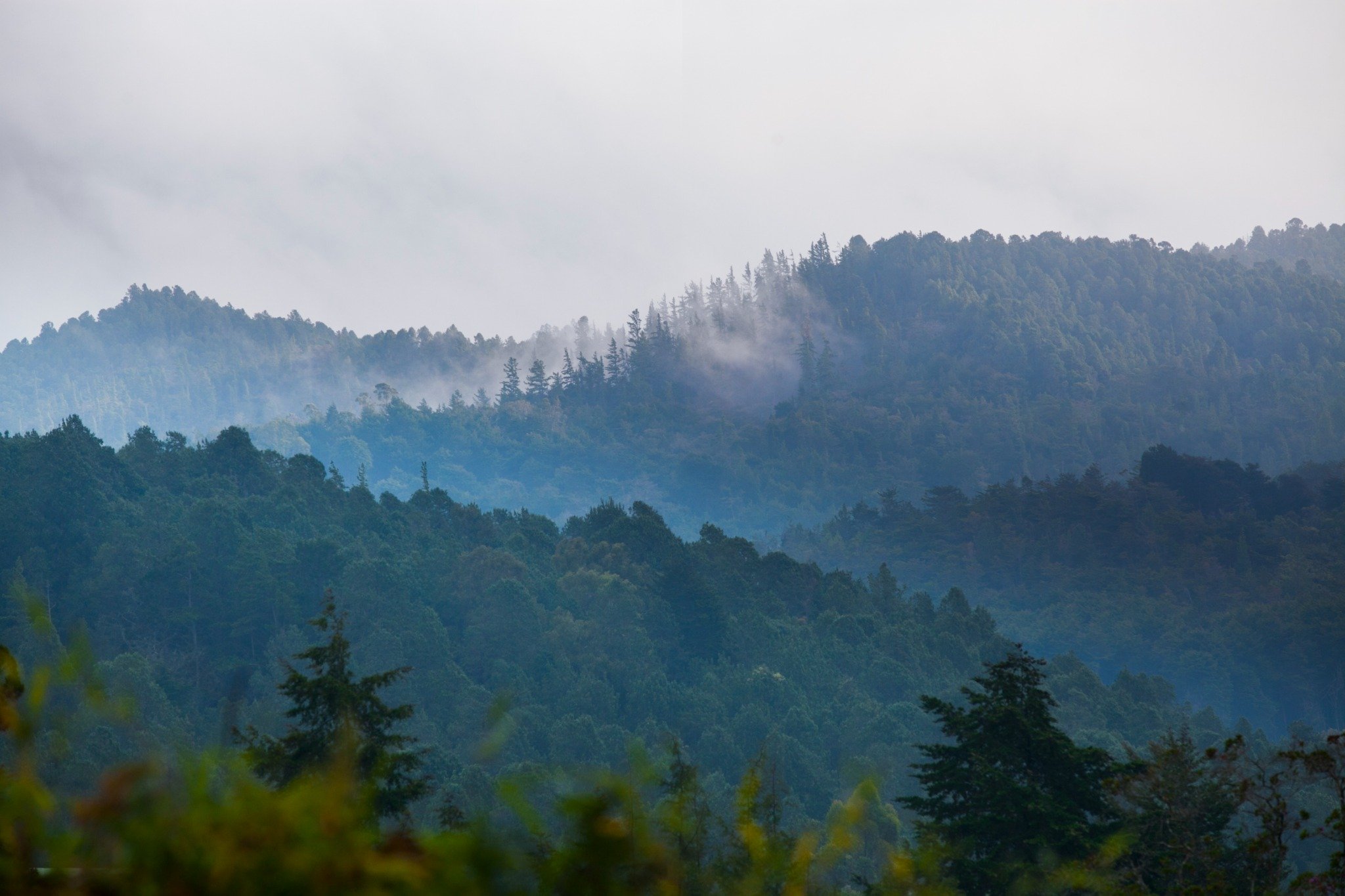 Paisaje montañoso y boscoso del Parque Arví en Medellín